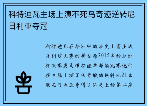 科特迪瓦主场上演不死鸟奇迹逆转尼日利亚夺冠